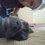 Cora Rojas - Facebook