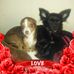 Cora Rollins - Facebook