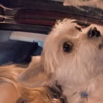 Coraroth - @coraroth9 - Instagram