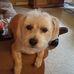 Cora Rowe - Facebook