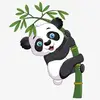 Panda.kaka - @coraroy0 - TikTok