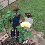 Cora Royster - Facebook