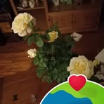 Cora Rubio - Facebook