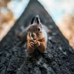 Cora Ruff - @cora.ruff.31 - Instagram