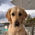 Coral, like the reef! - @coral.ruff - Instagram