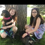Violet And Cora Stevenson - @paws_itve_plus_pet_services - Instagram