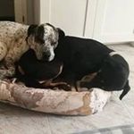 Cora - @coraterry1962 - Instagram