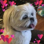 Cora Terry - @cora.terry.336 - Instagram