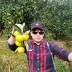 Cora Wang - Facebook