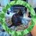 Cora Williamson - Facebook