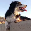 corbenjones5 - @corben.jones5 - TikTok