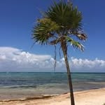 Karen Corbett-Smith - @karencorbettsmith - Instagram