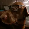 bald martin - @corbin.cox - TikTok