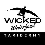 Corbin Cox | Wicked Waterfowl Taxidermy - @wickedwaterfowltaxidermy - Instagram