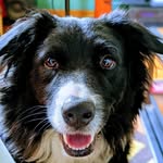 Corbin Derossett - @corbin_goodboy - Instagram