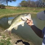 Corbin Holt - @fishindownsouth_ - Instagram