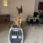 Corbin Hunt - @freedom_k9_academy - Instagram