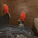 Korbin Hunt - Facebook