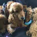 Corbin Jolly - Facebook