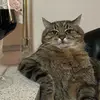 not_corbyn_keener - @corbynkeener - TikTok