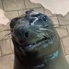 Corbin Kelly - @corbin.kelly3 - TikTok