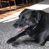 corbingrable - @corbin_king23 - TikTok