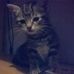 Korbin Knowles - Facebook