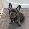 corbinlacyyy - @corbinlacyyy - TikTok