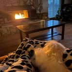 Corbin Lawrence - Facebook