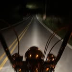 Corbin Lawson - @125_lawson_119 - Instagram