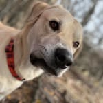 Corbin Lightfoot - @corbin.lightfoot - Instagram