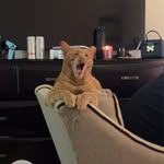 Corbin Matlock - @corbin.matlock_ - Instagram