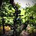 Colwin Mellinger - Facebook