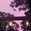 Corbin Miller - @corbin.miller7 - TikTok