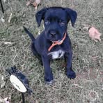 Corbin Moreland - Facebook