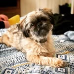 @corbinmorgan920 - Instagram