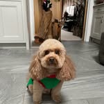 Corbin Morris - @corbinmorris3 - Instagram