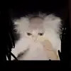 Corbin Morris - @corbin.morris3 - TikTok