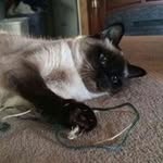 Corbin Murray - @corbinmurray6 - Instagram