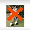 corbinpalmer6338 - @100.likes0 - TikTok