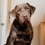 Corbin Parker - @corbinparker_ - Instagram