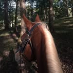 Corbin Parker - @corbin.parker.50 - Instagram