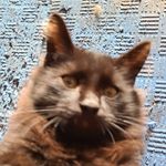 Corbin Patterson - @raidnfan - Instagram