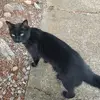 Corbin pratt - @corbin.pratt2 - TikTok