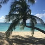 corbin reading - @corbinreading - Instagram