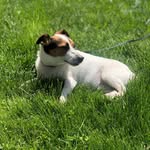 Corbin Reeves - @russell_1508 - Instagram