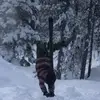 corbinreeves471 - @corbinreeves471 - TikTok