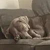 corbin.ritchie1884 - @corbin.ritchie188 - TikTok