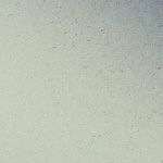 Corbin Roen - @corbinroen2020 - Instagram