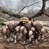 Corbin Rose - @corbin.rose3 - TikTok